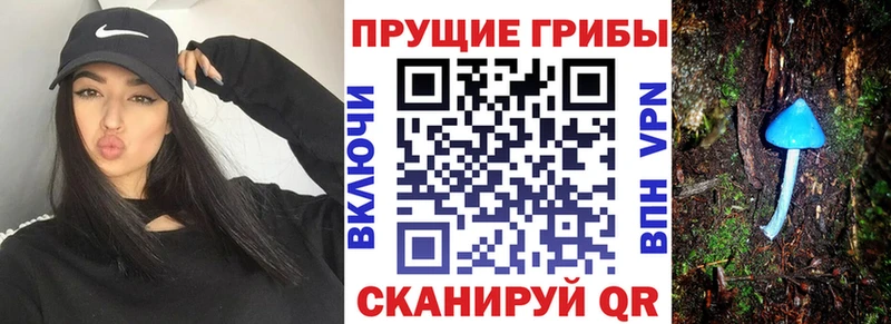 Галлюциногенные грибы мицелий  Купить где  Новосокольники 
